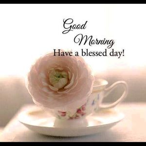 Meet your Posher, Damarys